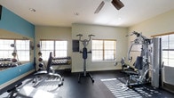 This single-story fitness room is designed to support a well-rounded exercise routine. The space features dark, durable flooring suited for heavy equipment use, while neutral-toned walls and white ceilings create a clean, focused environment. Two windows fitted with wood-slat blinds allow natural light to filter into the room, casting bright streaks across the floor and contributing to an open, energizing atmosphere. A ceiling fan overhead provides air circulation during intense workouts. The room is outfitted with a comprehensive selection of equipment, including a dumbbell rack stocked with a wide range of weights, kettlebells, a cable machine, a multi-function strength station, and a bench press setup. A wall-mounted informational chart is also present, offering guidance for users. The layout is thoughtfully arranged to allow adequate space between equipment, promoting safe and efficient movement throughout the room. Recessed lighting supplements the natural light, ensuring the space remains well-lit at all times. Overall, the fitness room presents a practical and functional environment suitable for both strength training and general conditioning.