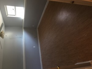 Building Photo - 3006 Ladova Way