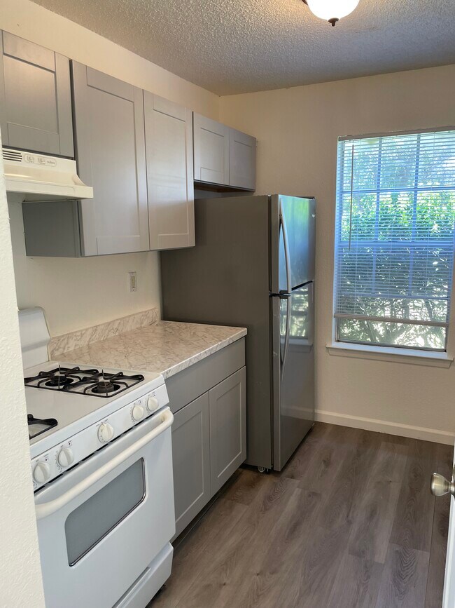 412 Greenlawn Blvd, Round Rock, TX 78664 Townhome Rentals in Round