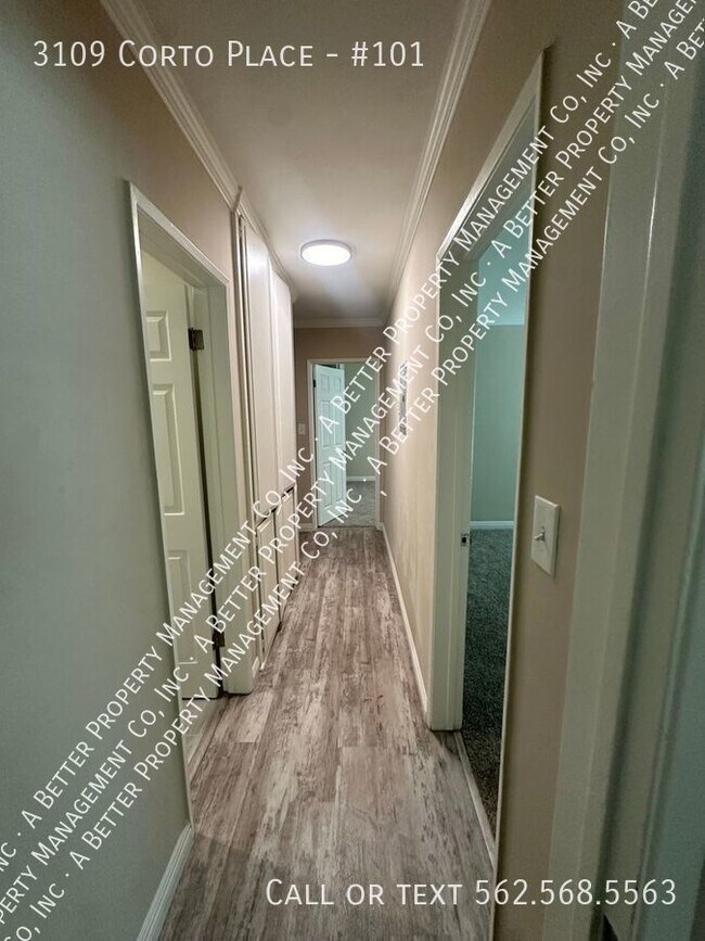 Building Photo - Large FULLY REMODELED Lower 3 Bed 2 Bath U...