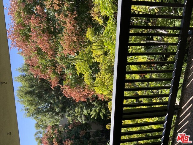 Foto del edificio - 8317 Raintree Cir