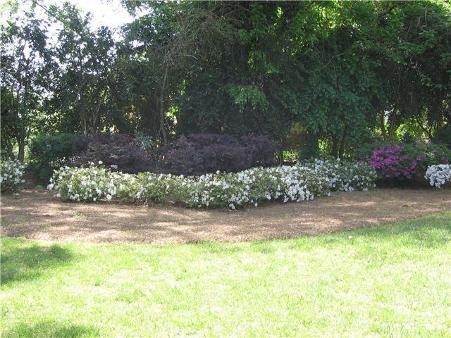 Building Photo - 516 Faith St