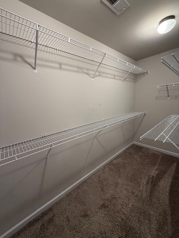 Building Photo - 1050 Mcconaughy Ct