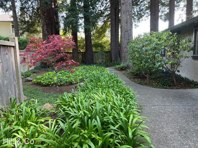 Building Photo - 1 br, 1 bath House - 10 Catalpa Avenue # 4