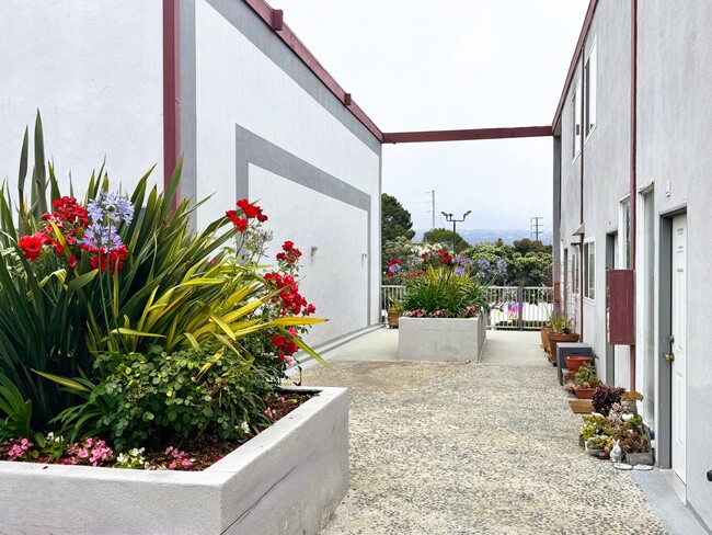 Building Photo - Sea Breeze Townhome Apartments