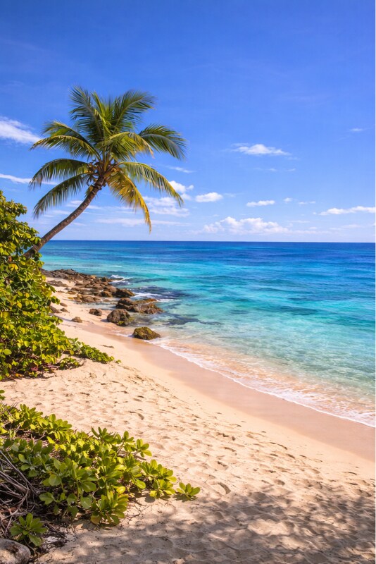 Foto del edificio - 14 Bunker Knolls Ln