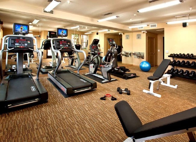 Fitness Center - Brisa Playa del Rey