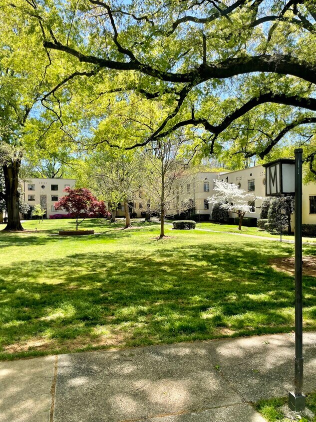 Foto principal - 1121 Myrtle Ave