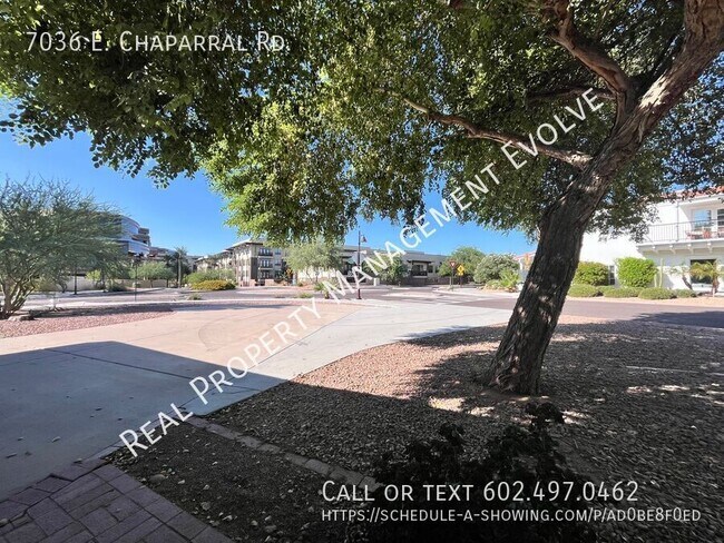 Building Photo - Beautiful Paradise Valley Home!