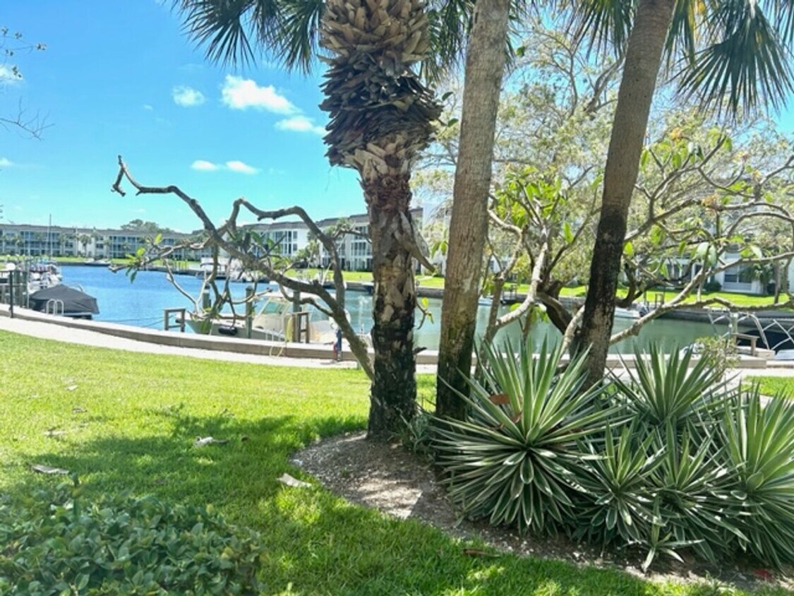 Primary Photo - WINTER 2025!! - SUMMER 2024! LONGBOAT KEY ...