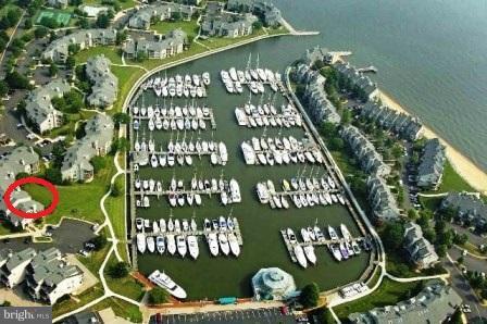 Foto principal - 7052 Harbour Village Ct