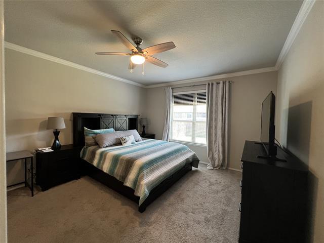 Foto del edificio - 3716 Fossil Tree Ln