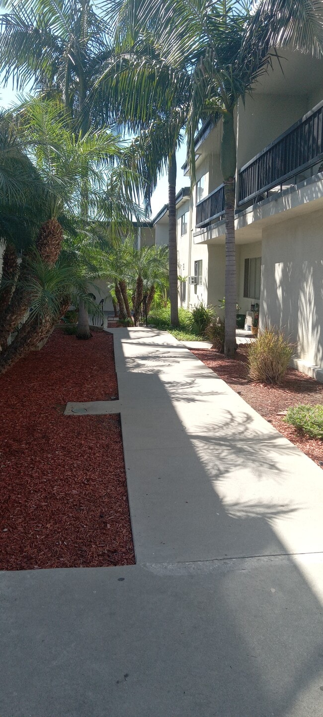 Building Photo - 10726 Orange Grove