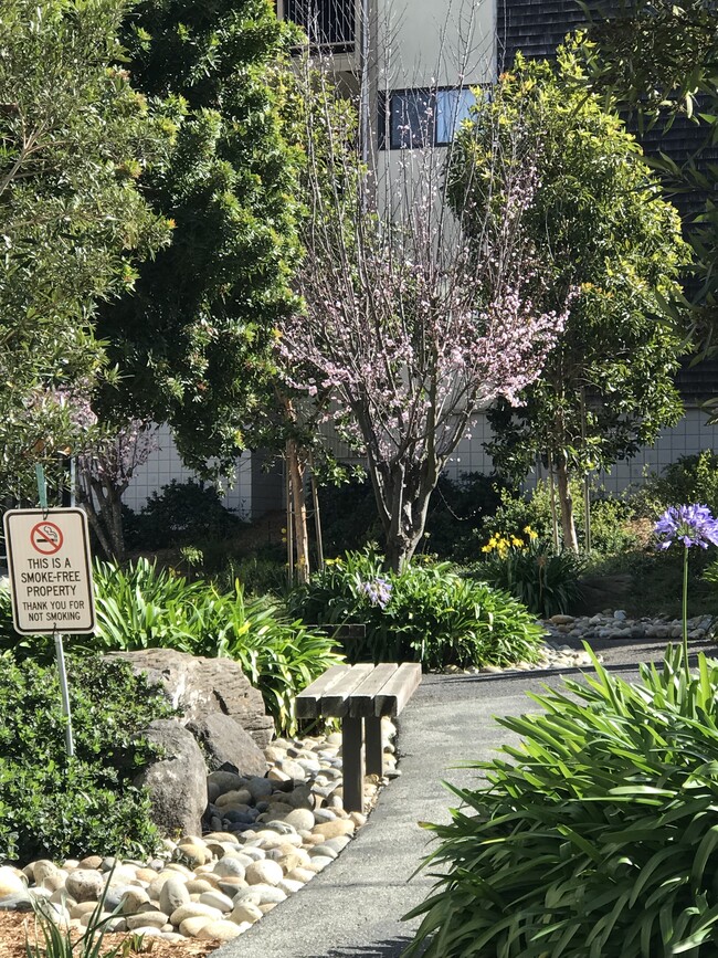 Garden Bench - 362 Alida Way