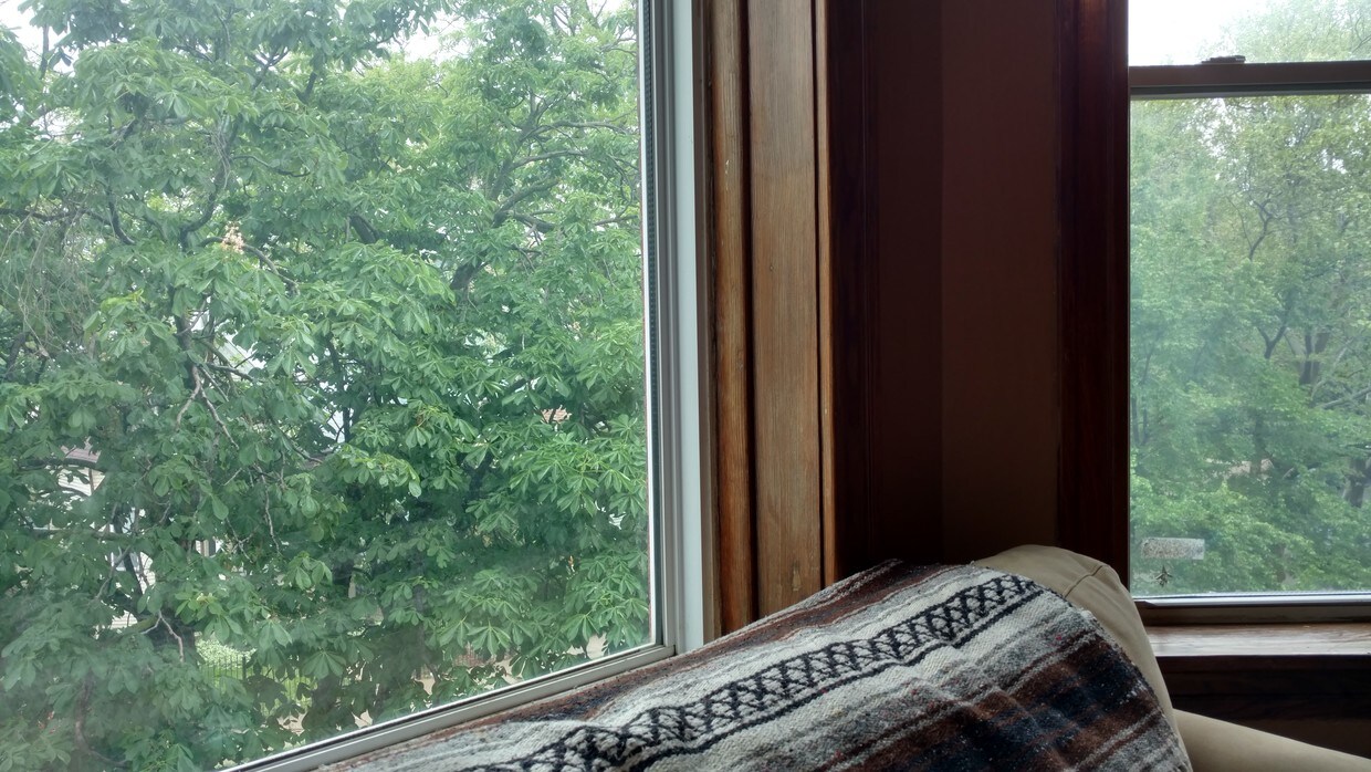 Front Windows - 3101 N Monticello Ave