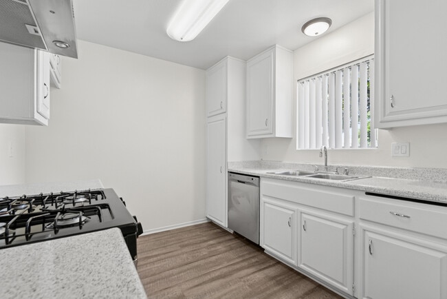 Building Photo - Villa Rosa