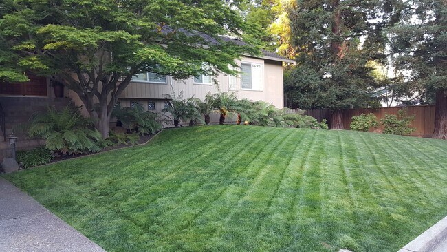 Building Photo - COMING SOON!  Amazing Home in Suburban Dan...