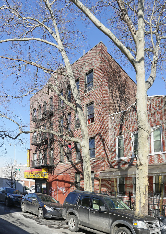 482 Riverdale Ave, Brooklyn, NY 11207 - Apartments in Brooklyn, NY ...