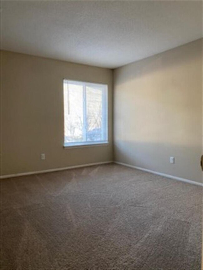 Building Photo - The Cedar