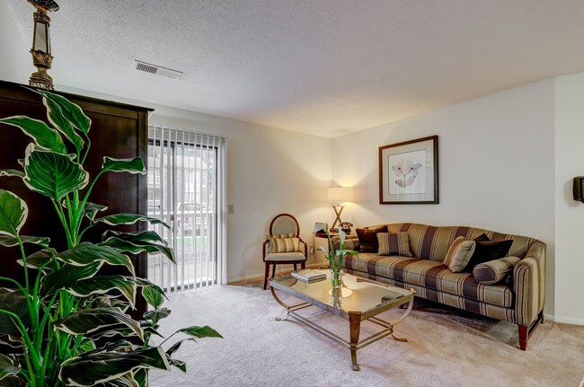 2BR, 2BA - 1,000SF - Living Room - Verandas on the Green Apartment Homes