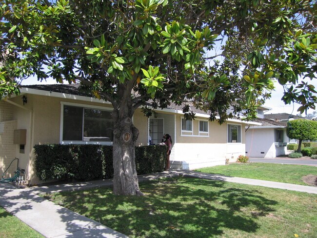 Foto del edificio - 2113 Town And Country Ln