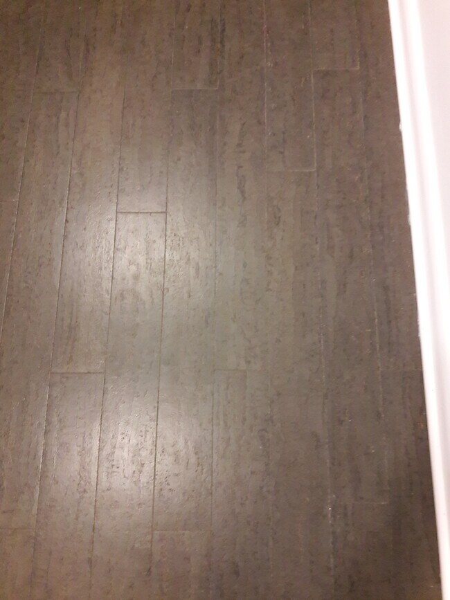 Cork floor detail - 575 Thayer Ave #501