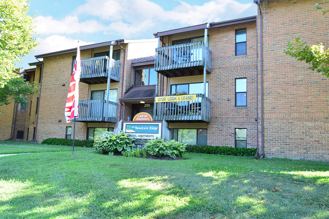 Building Photo - The Forest Apartments