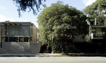 Building Photo - 833 Moraga Dr