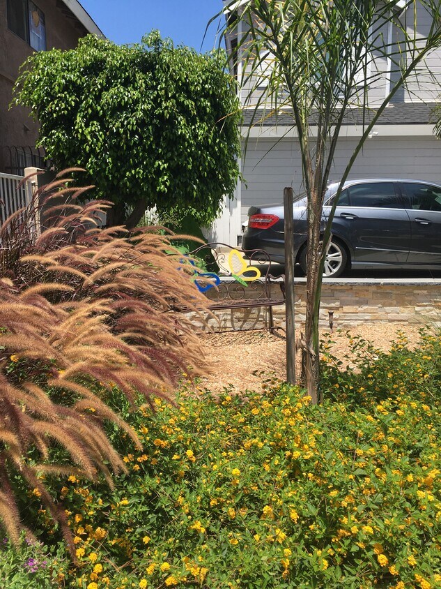 Frontyard - 515 E Pine St