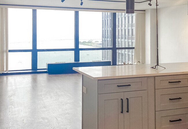 Foto del edificio - 910 N Lake Shore Dr