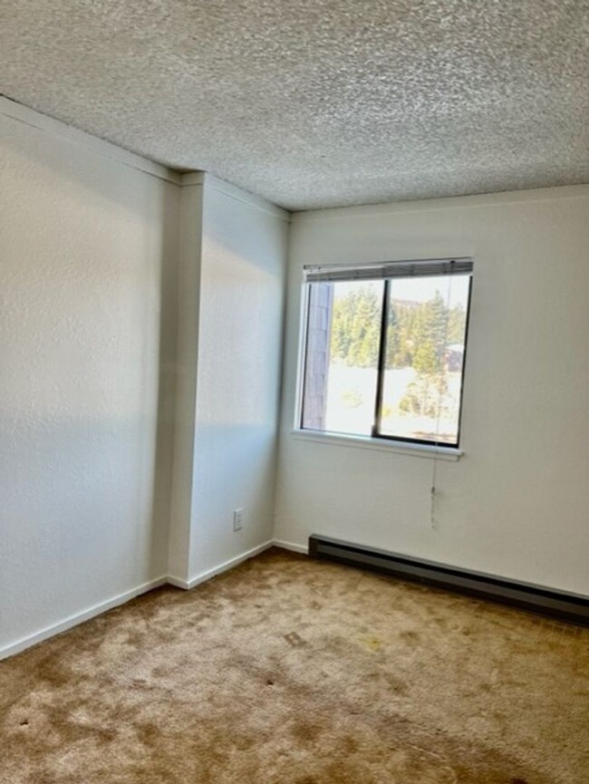 Building Photo - 1 Bed 1 Bath