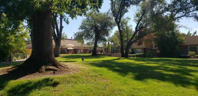 Building Photo - 7083 Murieta Pkwy