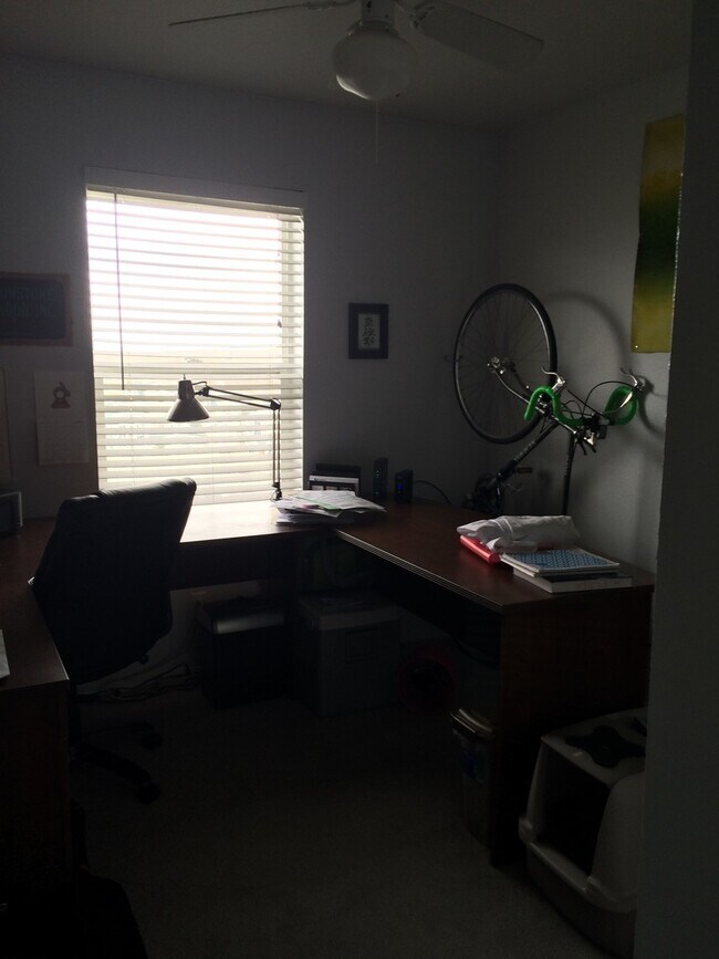 Foto del edificio - 3Bd/2Ba Near Campus! W/D Included!