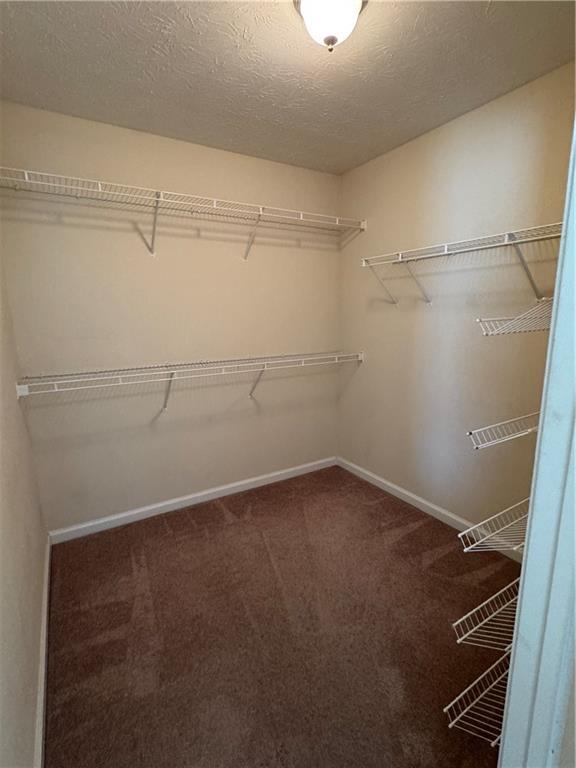 Foto del edificio - 4758 Chafin Point Ct
