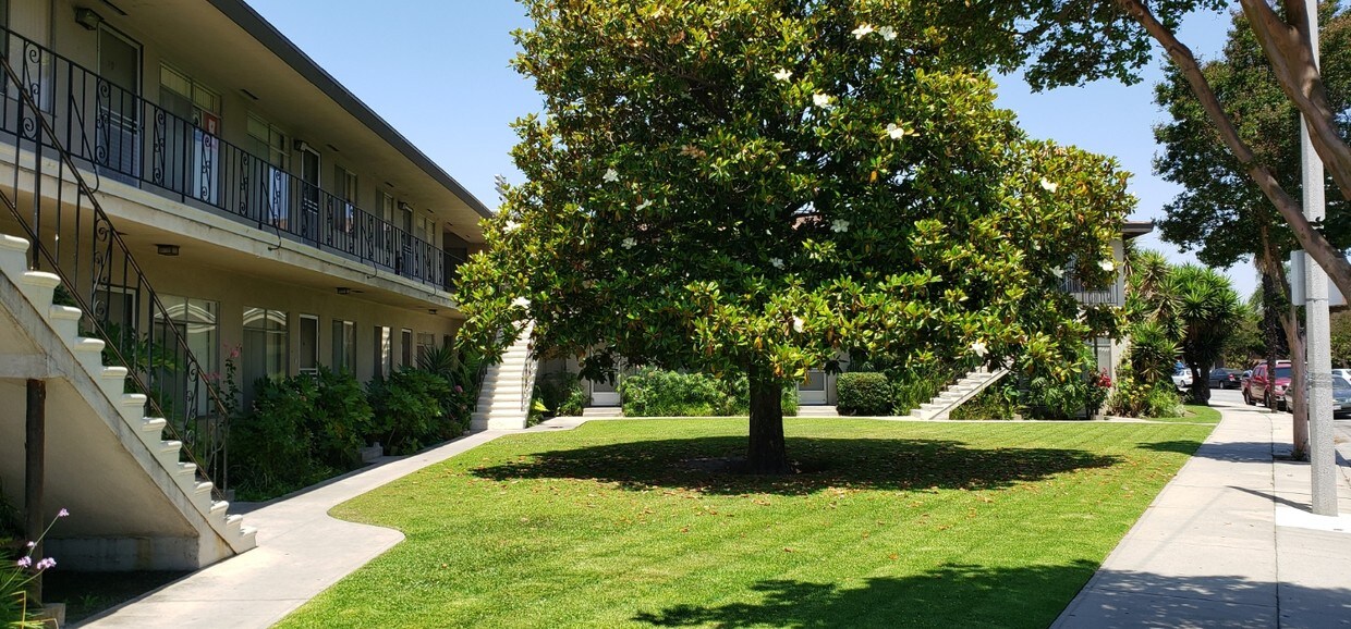 Courtyard - 8714 5th St