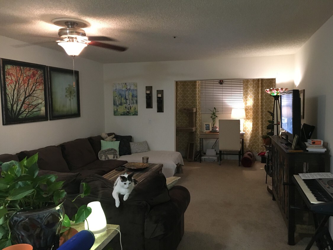 Main Room/Family Room - 2340 Carol View Dr