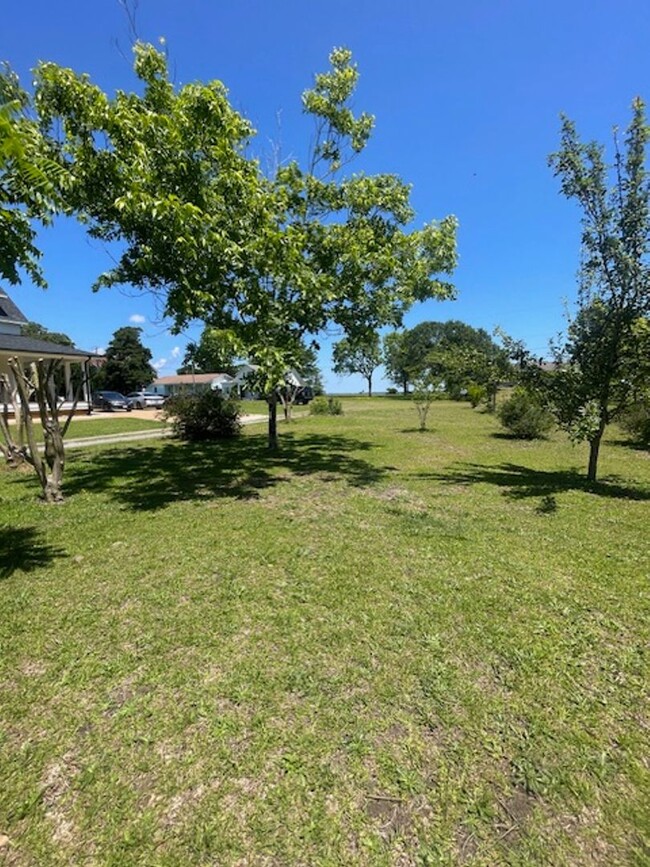 Building Photo - Long term rental in Manteo