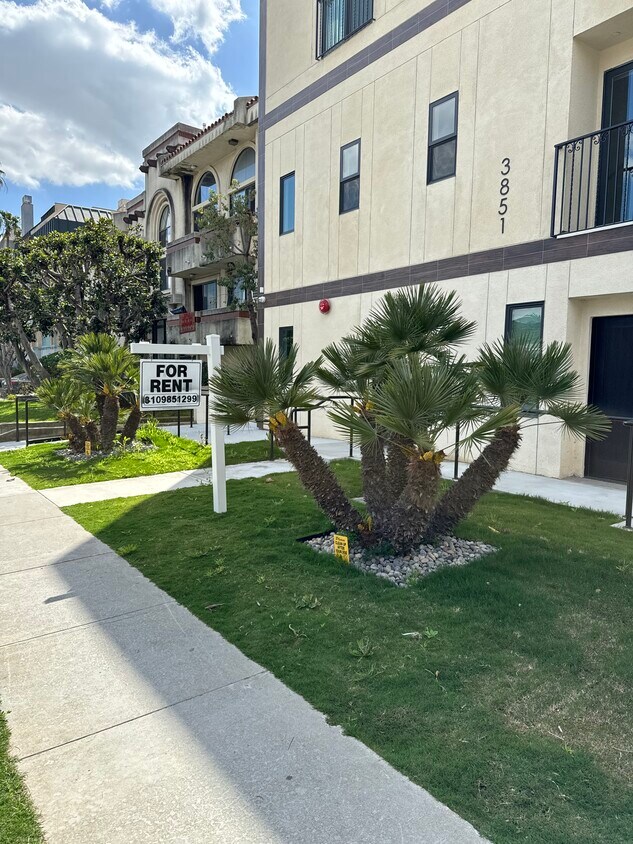 Primary Photo - 3853 Inglewood Blvd
