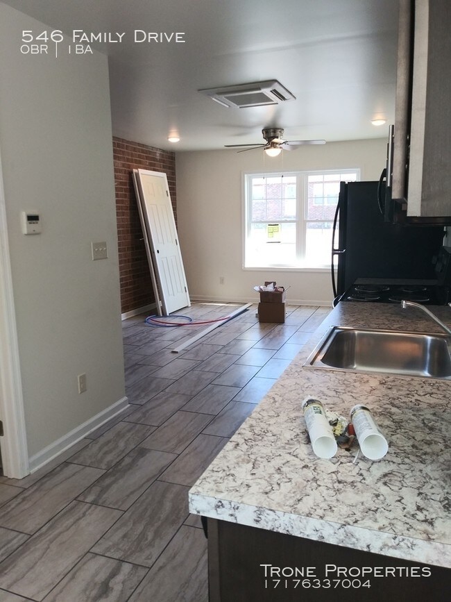 Building Photo - 546 Family Drive