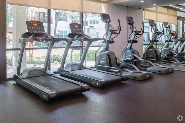 Gimnasio - Addison Keller Springs