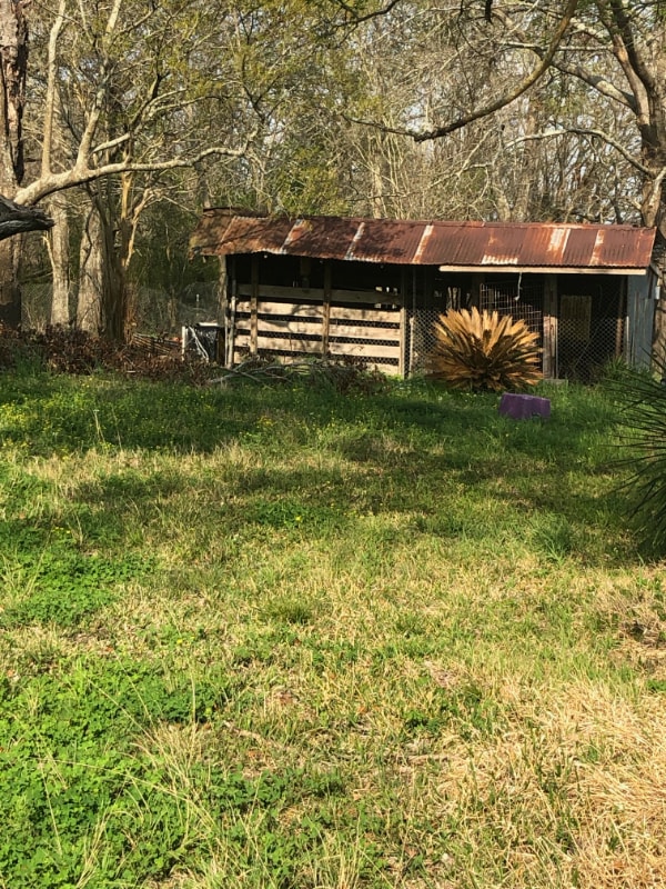 Building Photo - 1383 Eugene Soileau Rd