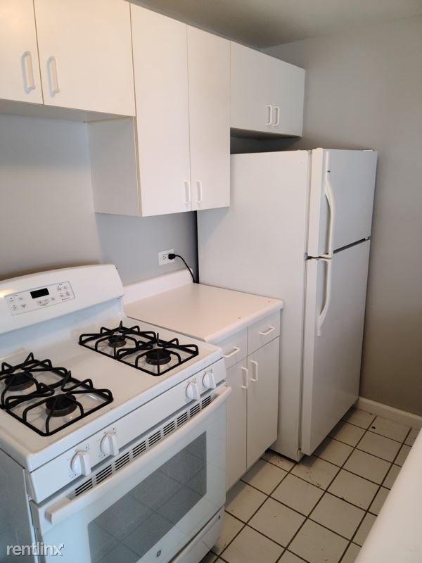 Building Photo - 1 br, 1 bath Apartment - 1313 W Addison St