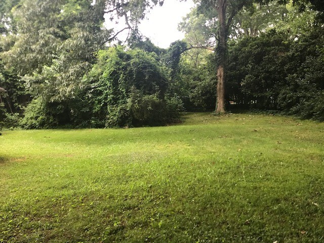 Backyard - 611 Woodburn Rd