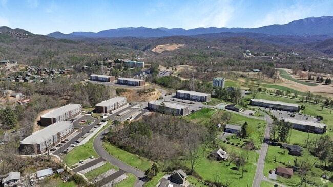 Building Photo - The Lofts at Pigeon Forge