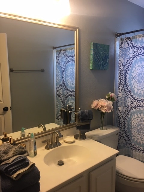 close up on 2nd bathroom - 3809 Willie Mays Ln