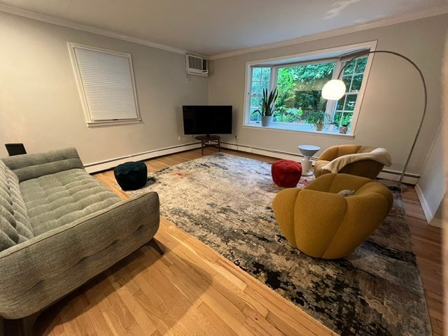 Living room - 17 Arnold St
