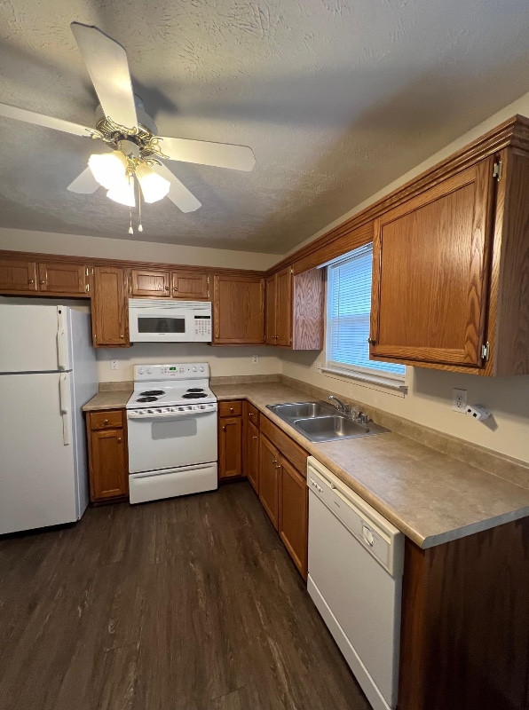 Building Photo - 58 Haven Ct