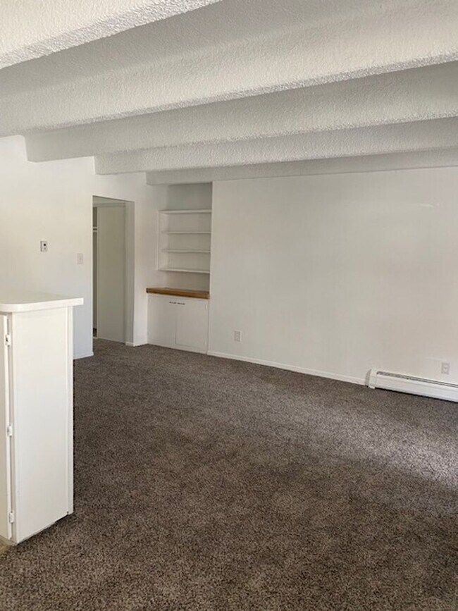 Photo - Newly remodeled 1-bedroom apartment near DU