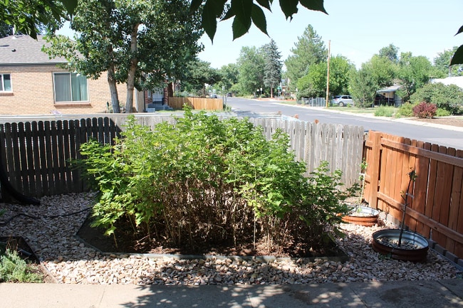 Building Photo - 1531 Willow St