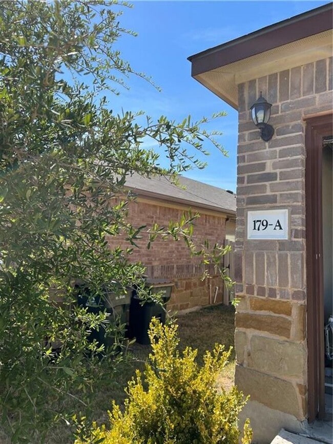 Building Photo - P2-179 Joanne Loop Buda, TX 78610
